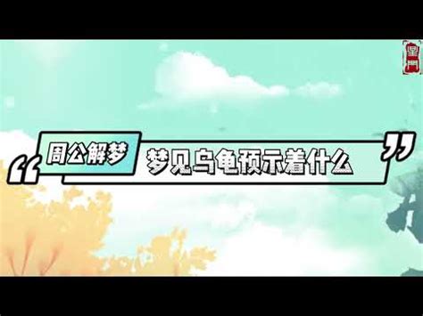 夢見烏龜號碼|夢見烏龜號碼